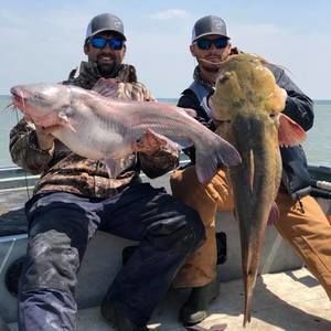 Meet your Posher, Joseph